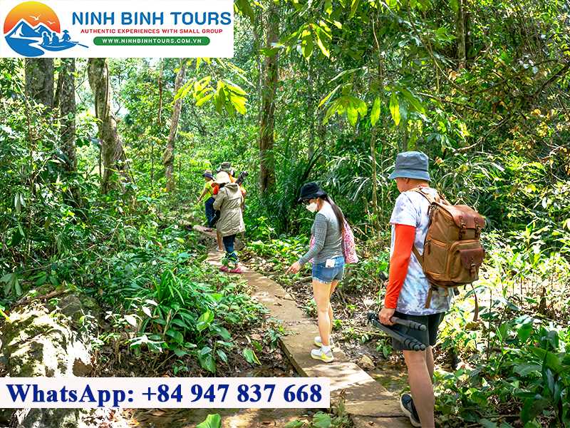 Cuc Phuong National Park - The Cradle of Nature - Ninh Binh - Vietnam