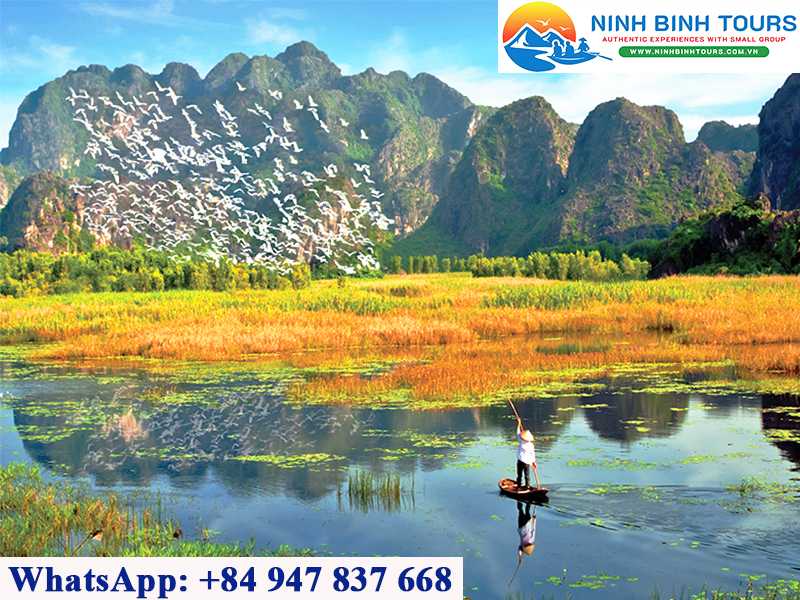 Van Long Nature Reserve - The 