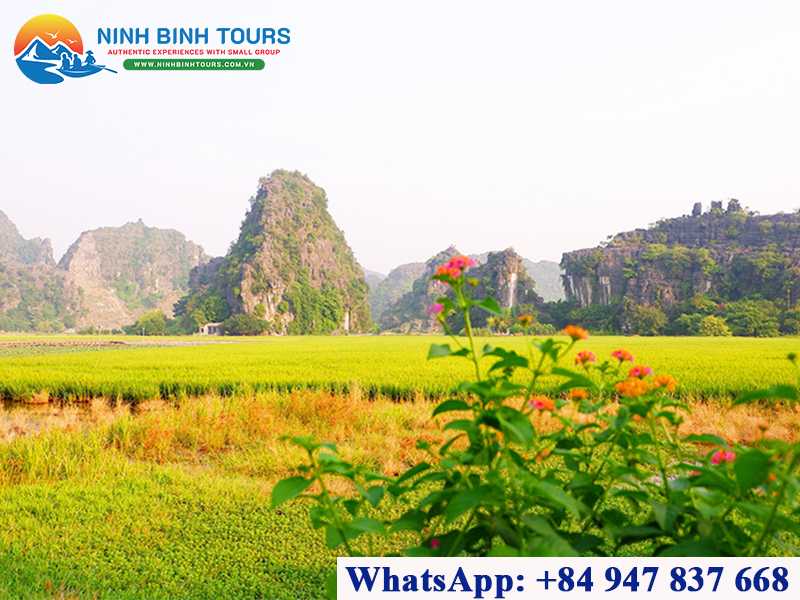 Thung Nham Bird Garden - A Symphony of Nature - Ninh Binh - Vietnam