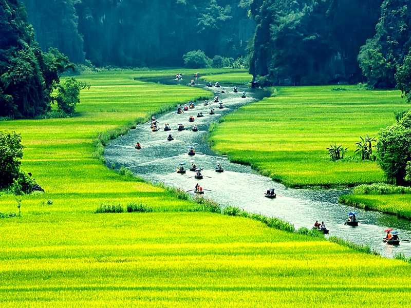 Hoa Lu - Tam Coc Grottoes - Mua Cave - Ninh Binh Tour 1 Day